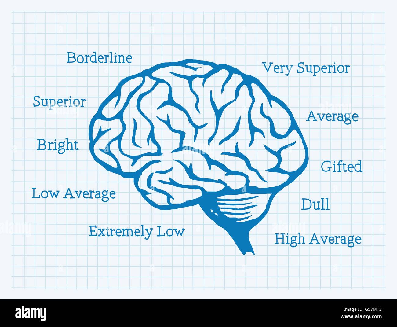 IQ, Intelligenzquotient, Gehirn, Mentalität Stock Vektor