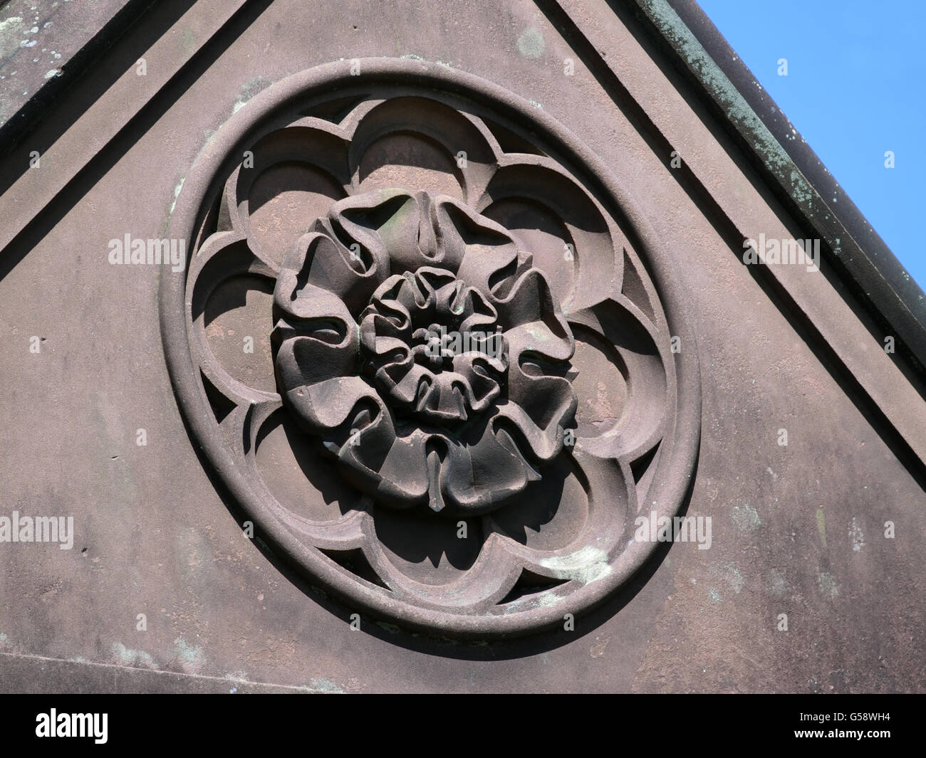 Stein geschnitzten Tudor-Rose-Emblem, UK Stockfoto