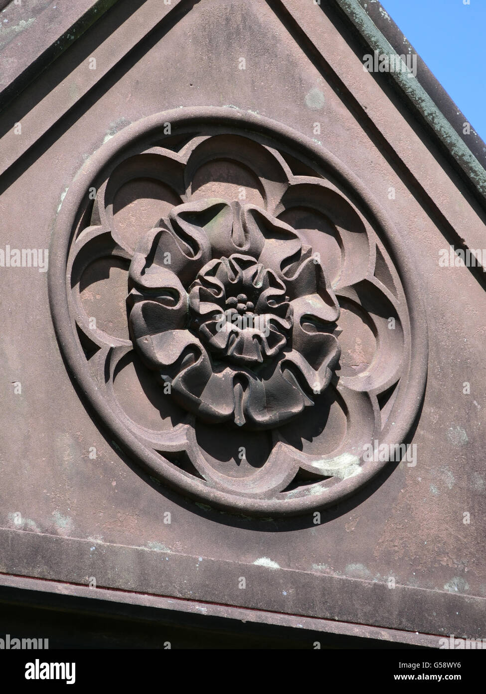 Stein geschnitzten Tudor-Rose-Emblem, UK Stockfoto