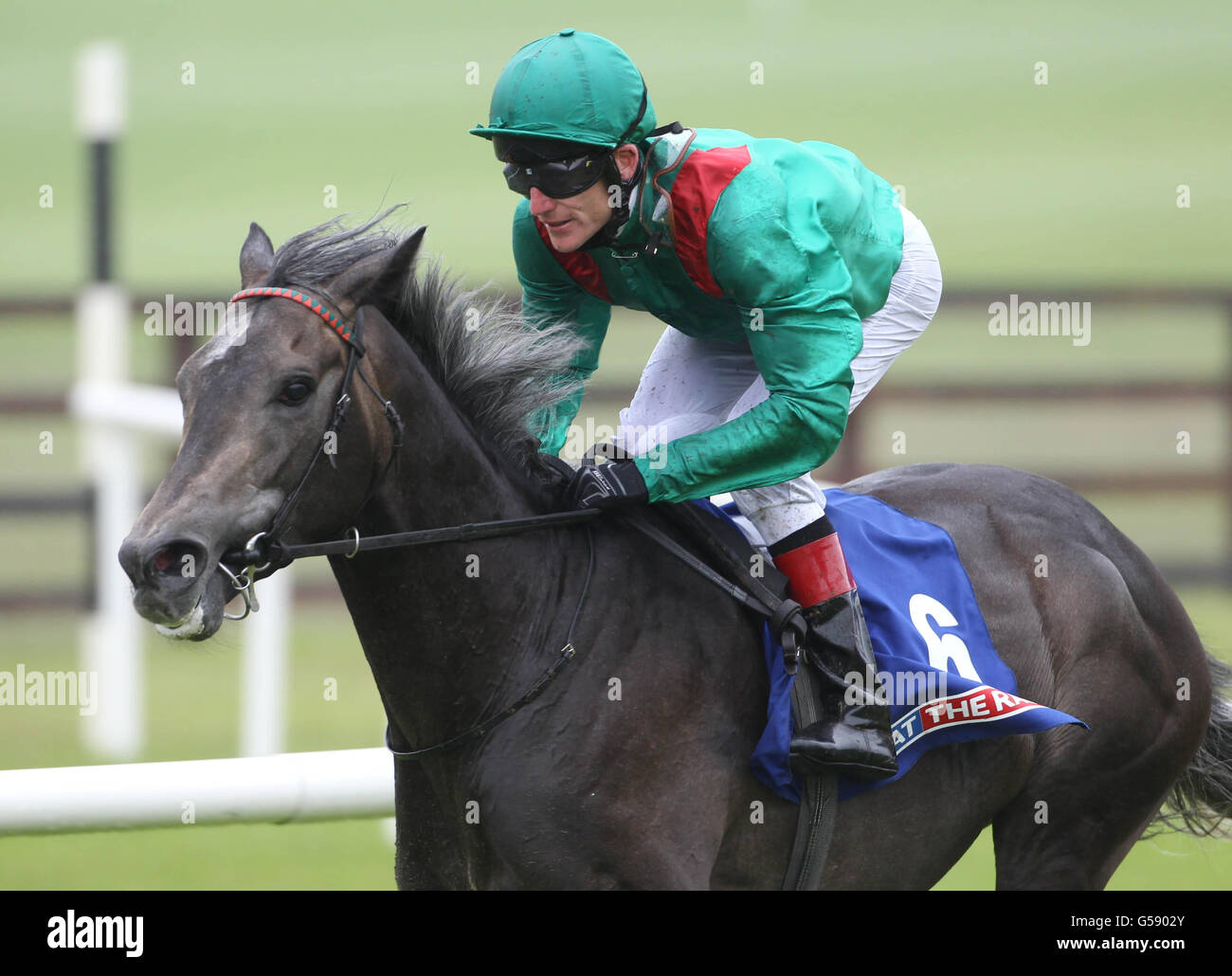 Horse Racing - 2012 Dubai Duty Free Irish Derby Festival - Tag drei - Curragh Rennbahn Stockfoto