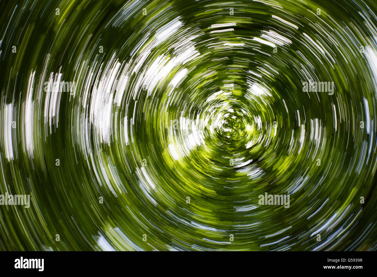 Defokussierten Wald Kreis hypnotische verschwommenen Effekt Stockfoto