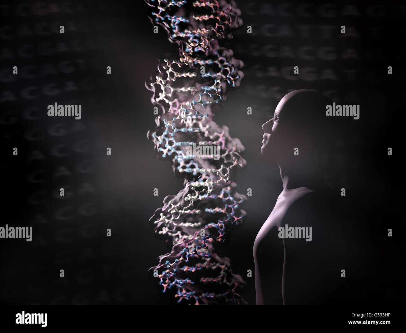 Detail eines DNA-Doppelhelix-Moleküls. DNA (Desoxyribonukleinsäure) ist ein Molekül, das meisten des genetischen Codes trägt Stockfoto