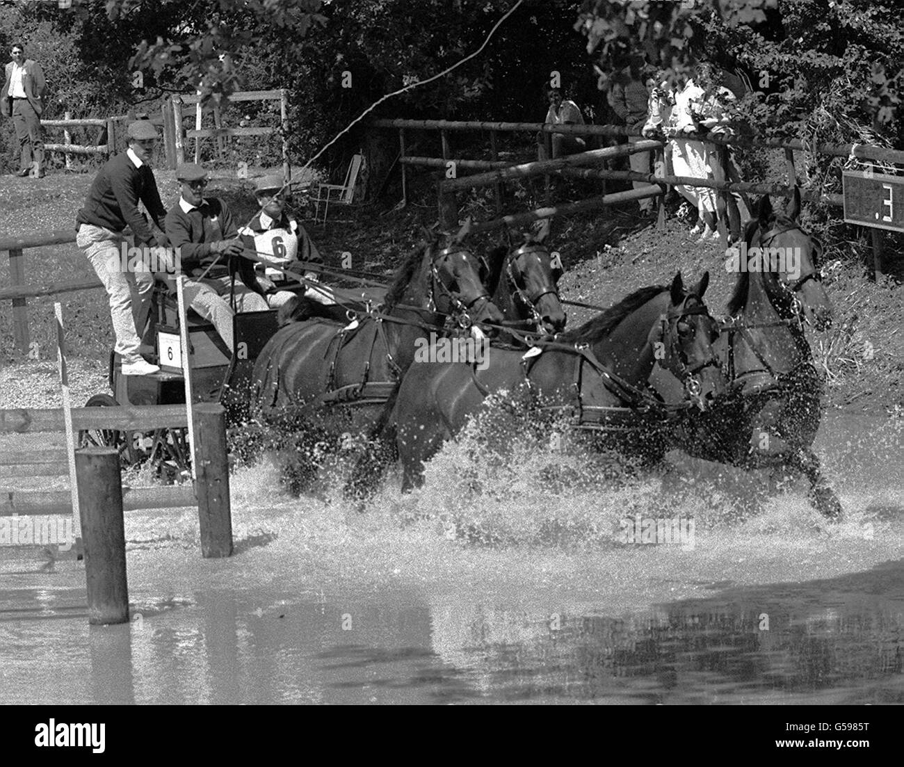 Pferdesport - FEI Vierspännige Kutsche fahren Weltmeisterschaft - Ascot Stockfoto