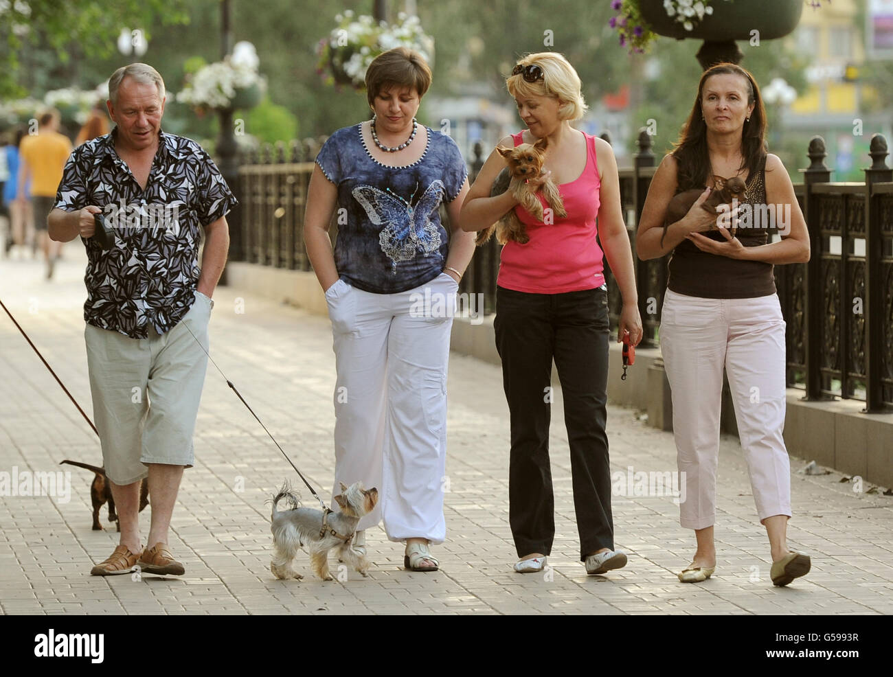 Reisestaken, Donezk, Ukraine. Hundewanderer in Donezk, Ukraine . Stockfoto