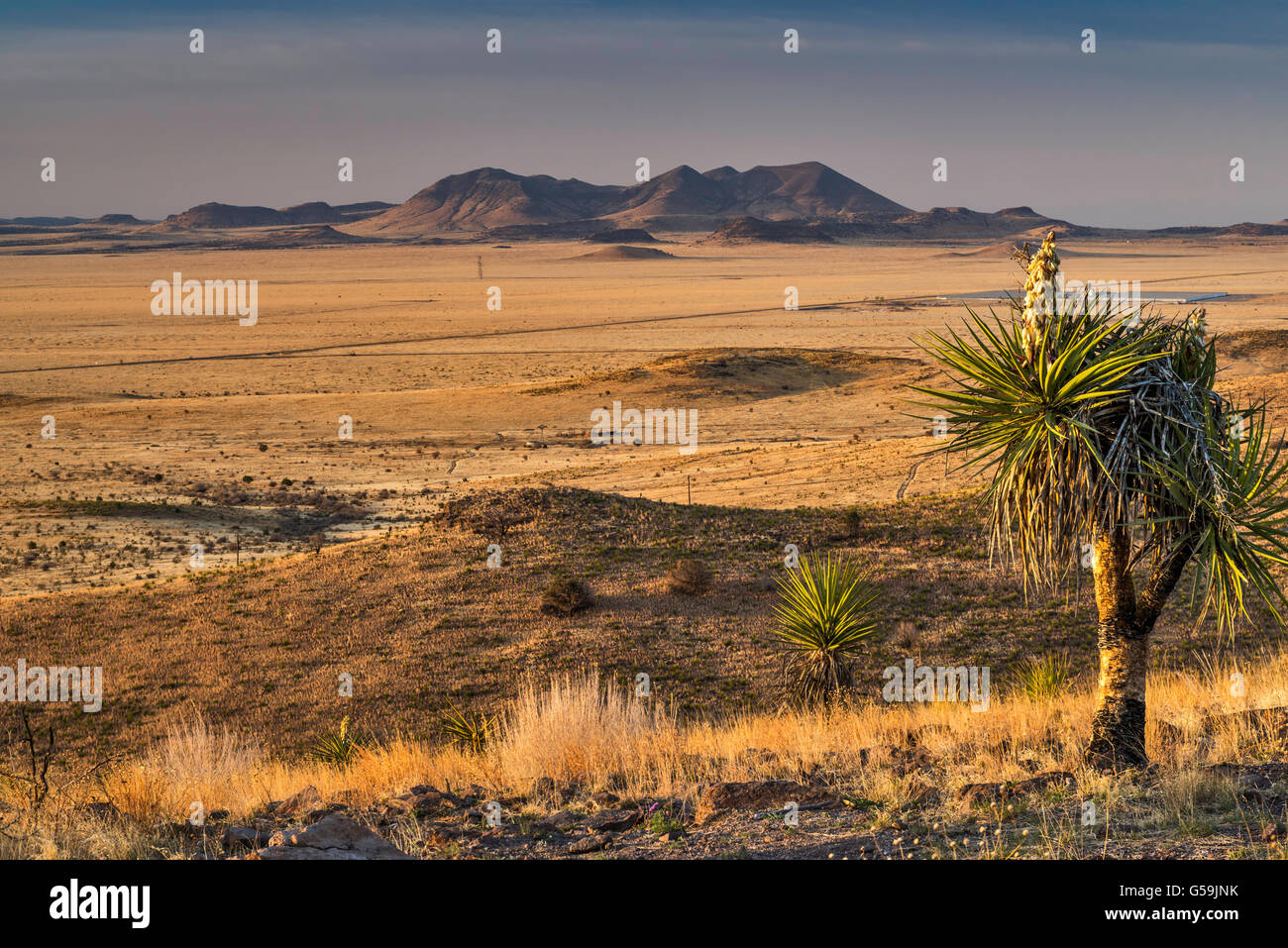 Entfernte Gebirgskette in der Chihuahua-Wüste, spanischer Dolch Yucca vor, aus Sicht in den Davis Mountains State Park, Texas Stockfoto