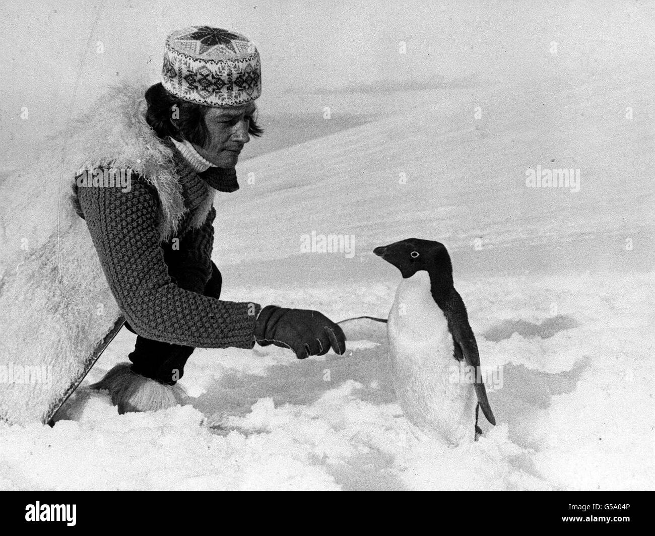 John weh am Südpol Stockfoto