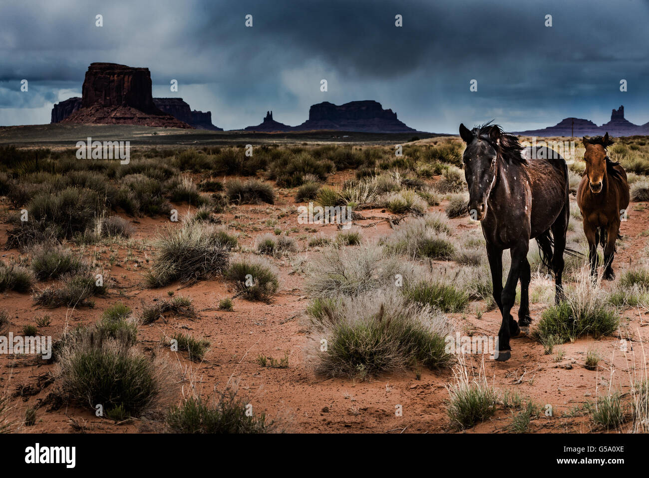 Wilde Pferde dunkle Wolken über dem Monument Valley USA Stockfoto