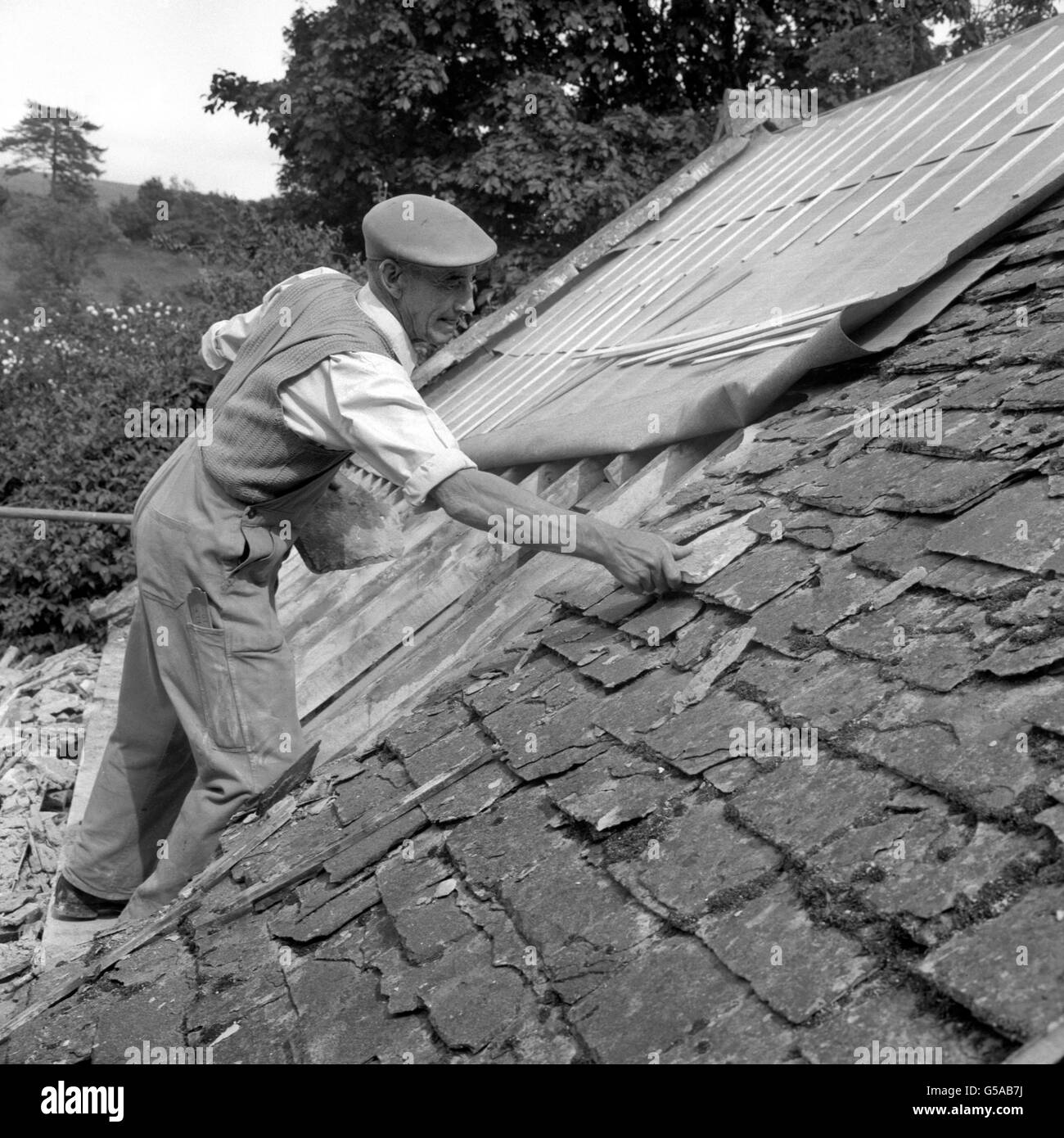 Den Cotswolds dabei zu helfen, ihr traditionelles Aussehen zu bewahren, sind Menschen wie Mr. R. Davis, der damit beschäftigt ist, das Mill House, bei Naunton, Gloucestershire, mit Cotswold-Steinfliesen (Schiefer) zu überdecken. Stockfoto