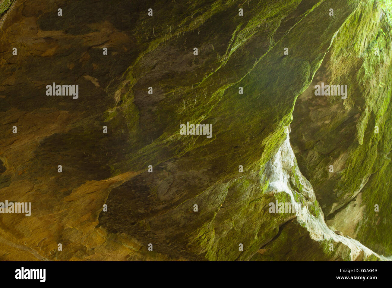 Bemooste grüne Torbogen im Wyalusing State Park Stockfoto