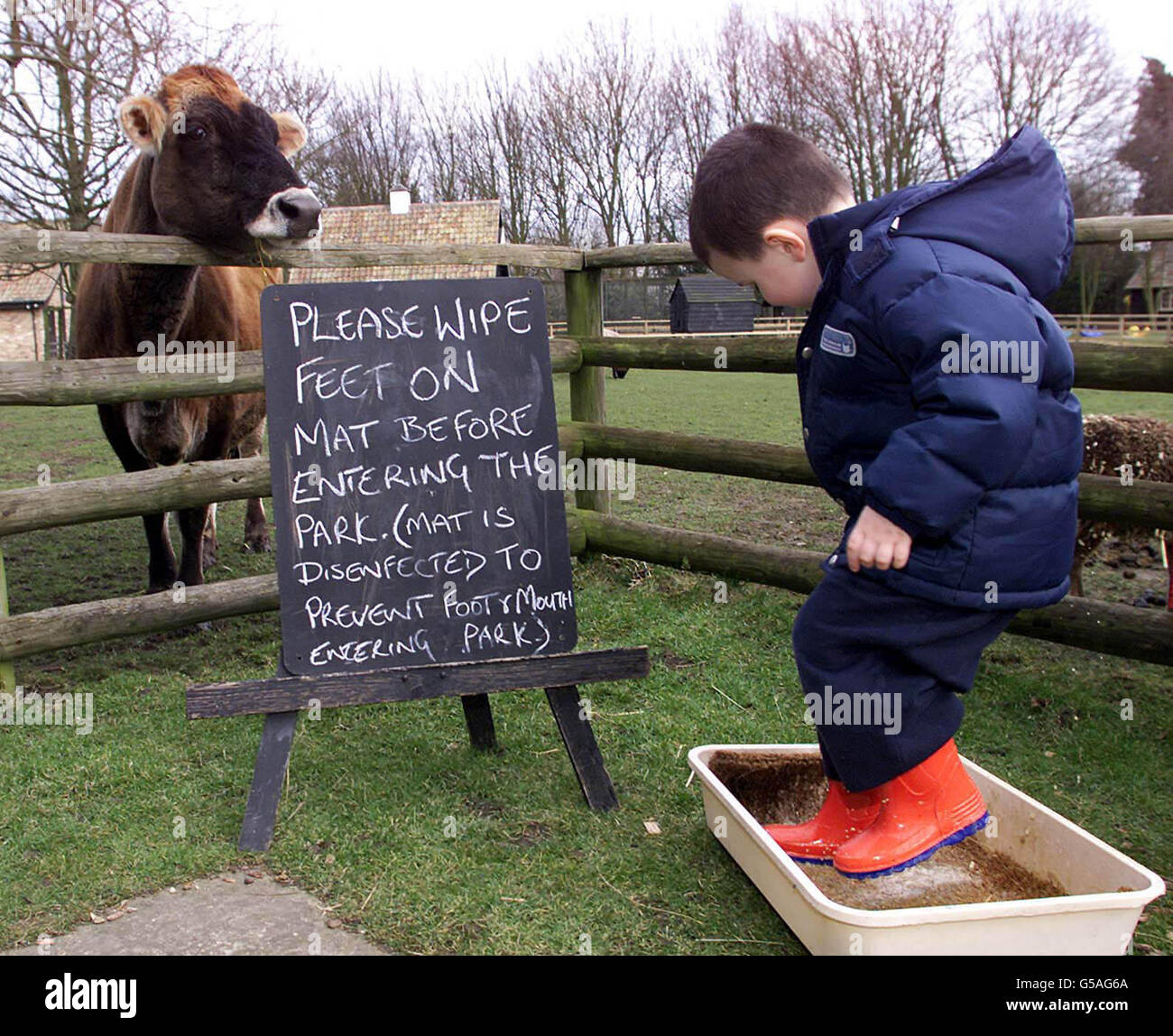 Der vierjährige Jamie Bruce desinfiziert seine Stiefel, bevor er die Baumkrone Nursery School besucht, wo Kinder ihre Schuhe wegen des Ausbruchs der Maul- und Klauenseuche desinfizieren mussten. Die Gärtnerei befindet sich in der Mitte des Willers Mill Wildlife Park in Shepreth. * ...Cambridgeshire. Stockfoto