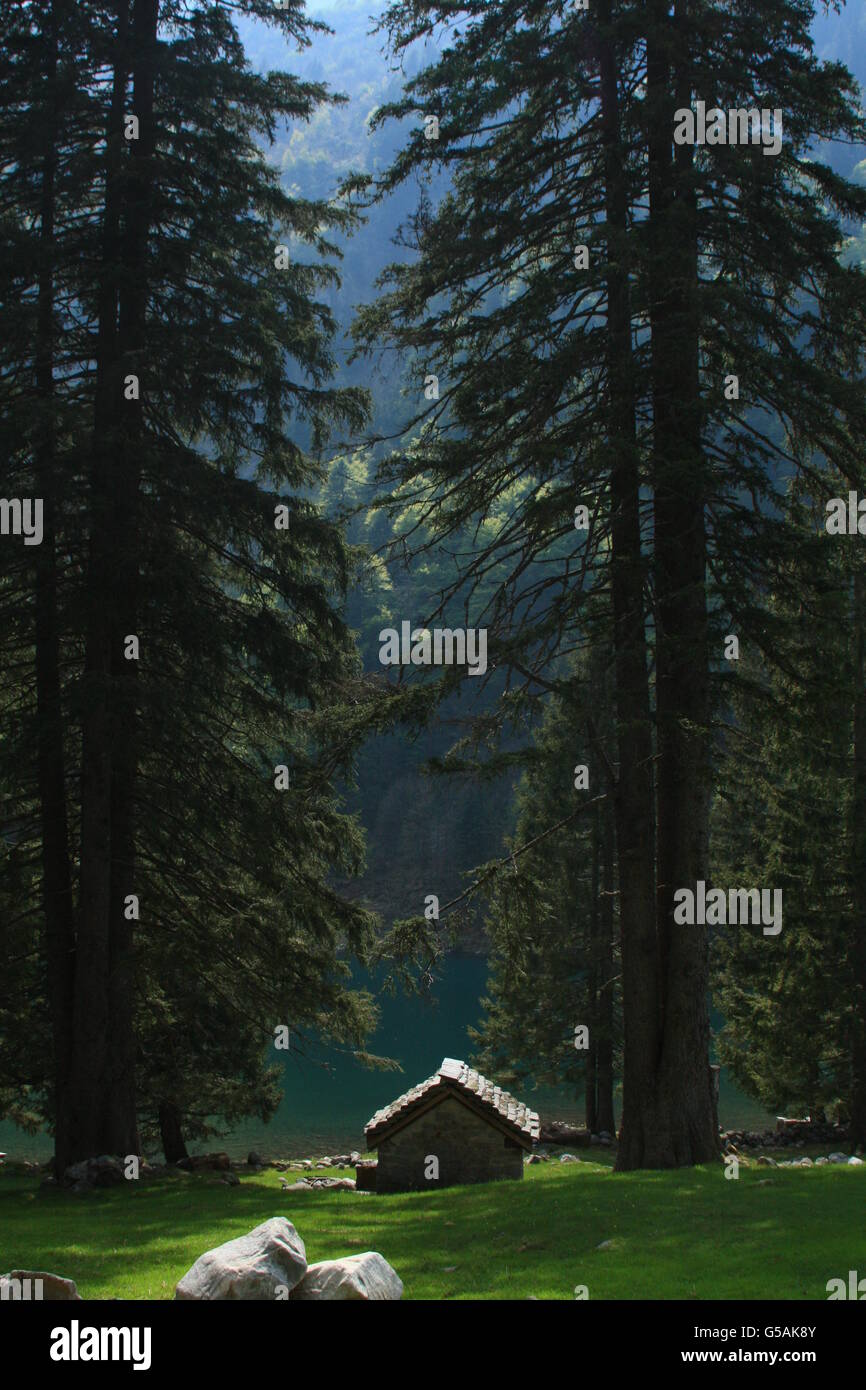 Kleines Häuschen, riesigen Bäumen am Ufer eines Sees, alpine Stockfoto