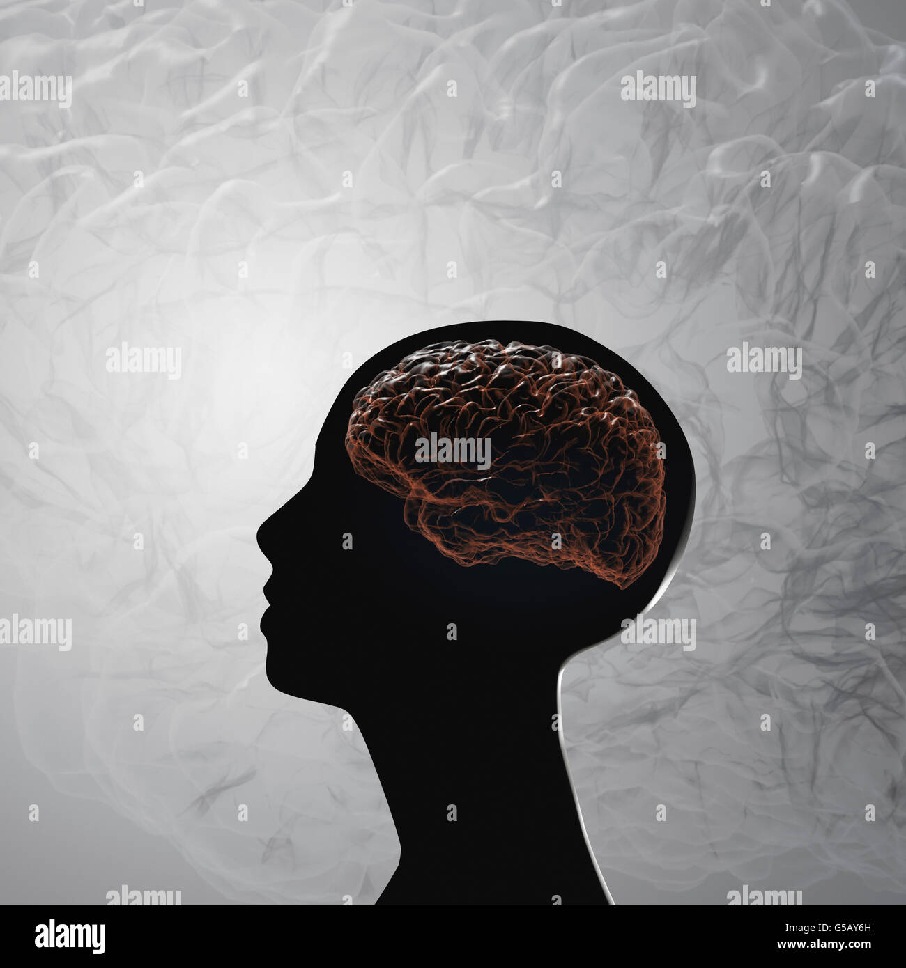 Das menschliche Gehirn. Projektion der Großhirnrinde Stockfoto