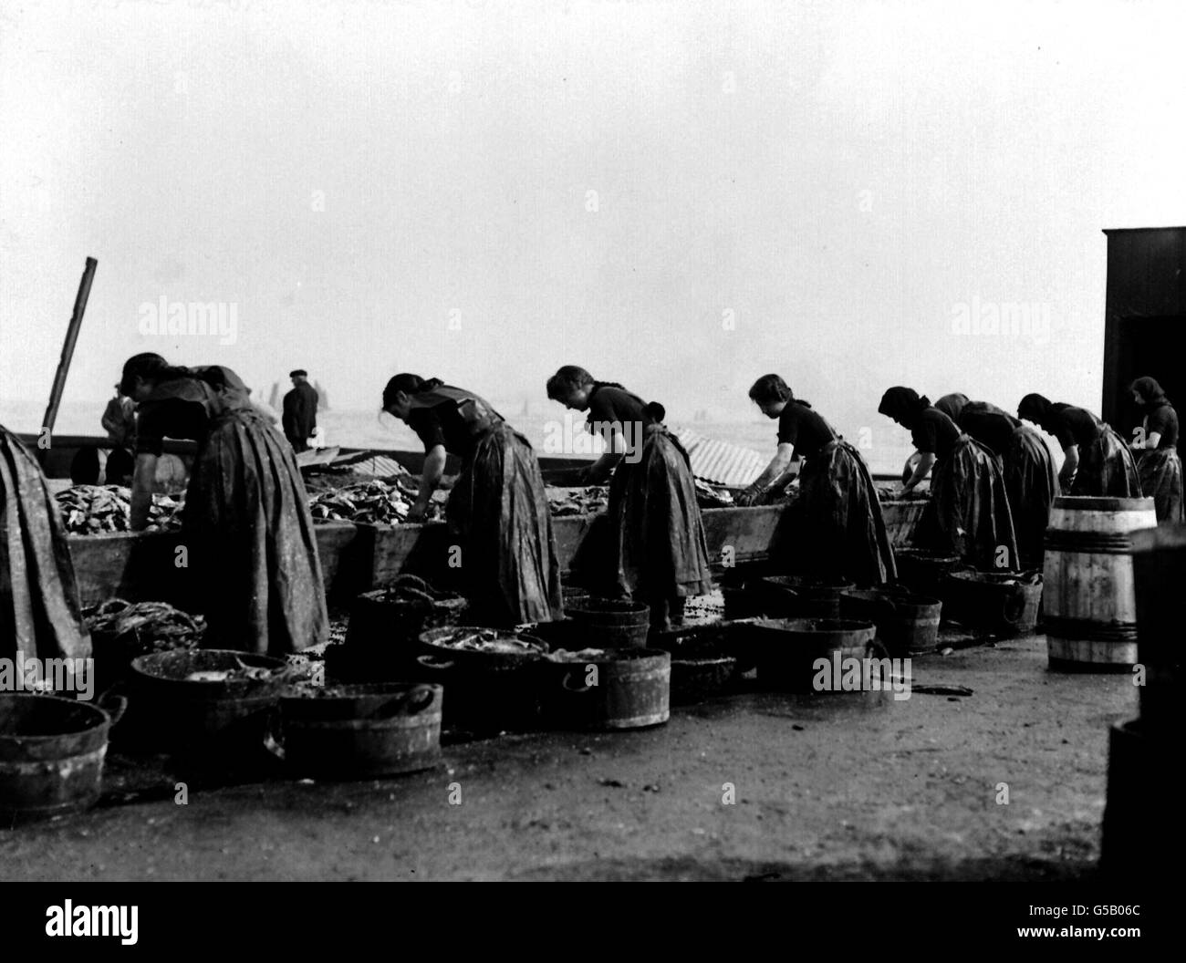 DIE HERINGINDUSTRIE 1911: Schottische Lasse arbeiten hart daran, Heringe im Hafen von Lowestoft in Suffolk zu reinigen und zu verpacken. Der Job ist Saisonarbeit für die schottischen Mädchen. Stockfoto