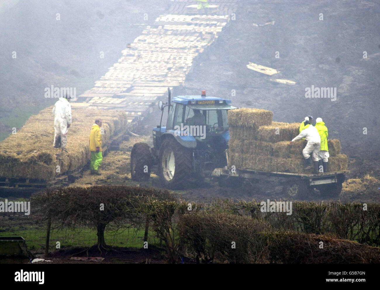 Arbeiter bereiten den Scheiterhaufen auf der Nibley Mill Farm in Blakeney, Gloucestershire, vor. Tausende von Tieren wurden in einem der größten Scheiterhaufen verbrannt, die bisher im Südwesten Englands gesehen wurden. * Es umfasst eine Fläche von etwa zwei Fußballfeldern und hat das ganze Tal am Fluss Severn mit einer Rauchwolke bedeckt. Stockfoto