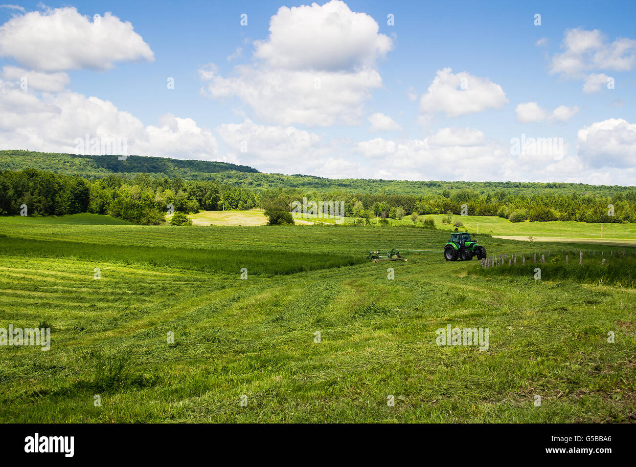 Schneiden von Heu Feld Landschaft Traktor Stockfoto