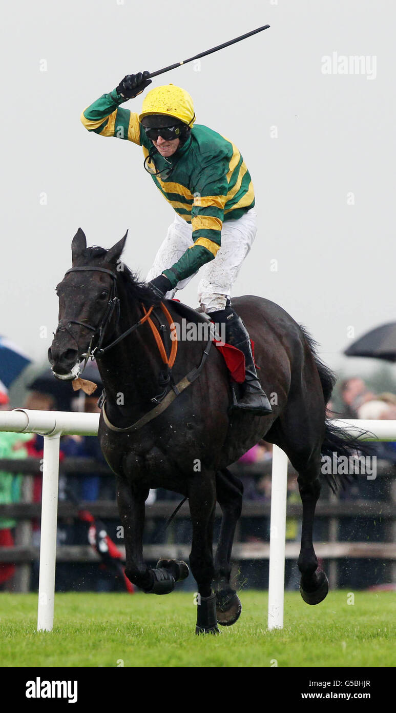 Bob Lingo von Mark Walshe geritten gewinnt die Galway Plate www.thetote.com (Steeplechase Handicap) während des Galway Plate Day thetote.com des Galway Summer Festivals auf der Galway Racecourse, Ballybrit. Stockfoto