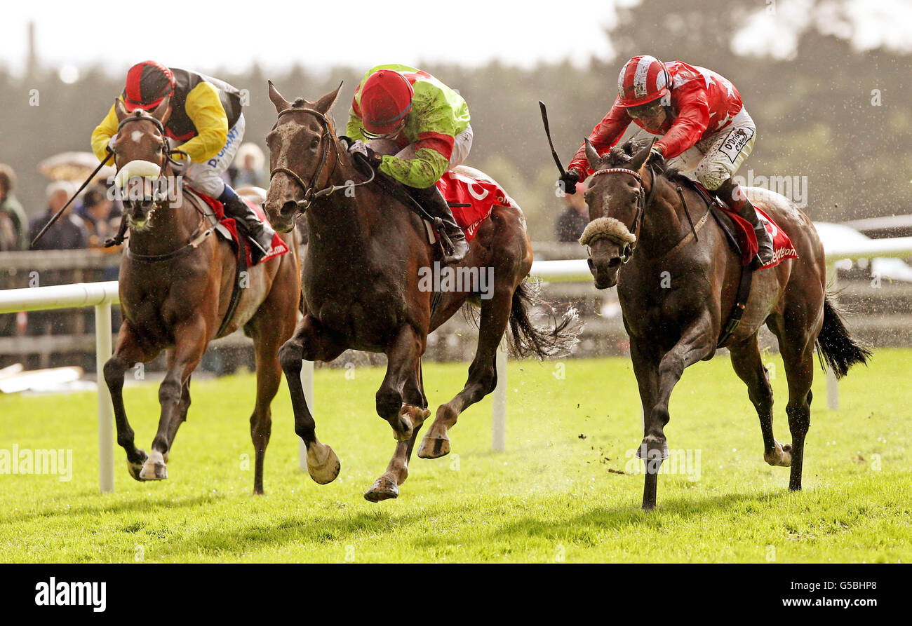 Horse Racing - Galway Sommerfestival 2012 - thetote.com Galway Plate Tag - Galway Rennbahn Stockfoto