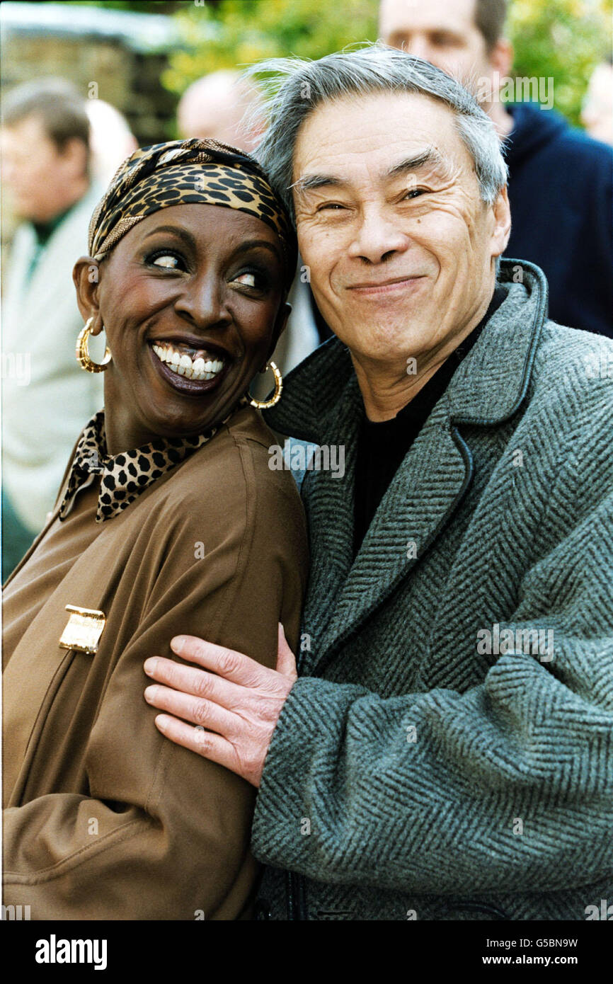 Springfield-Plakette Stockfoto