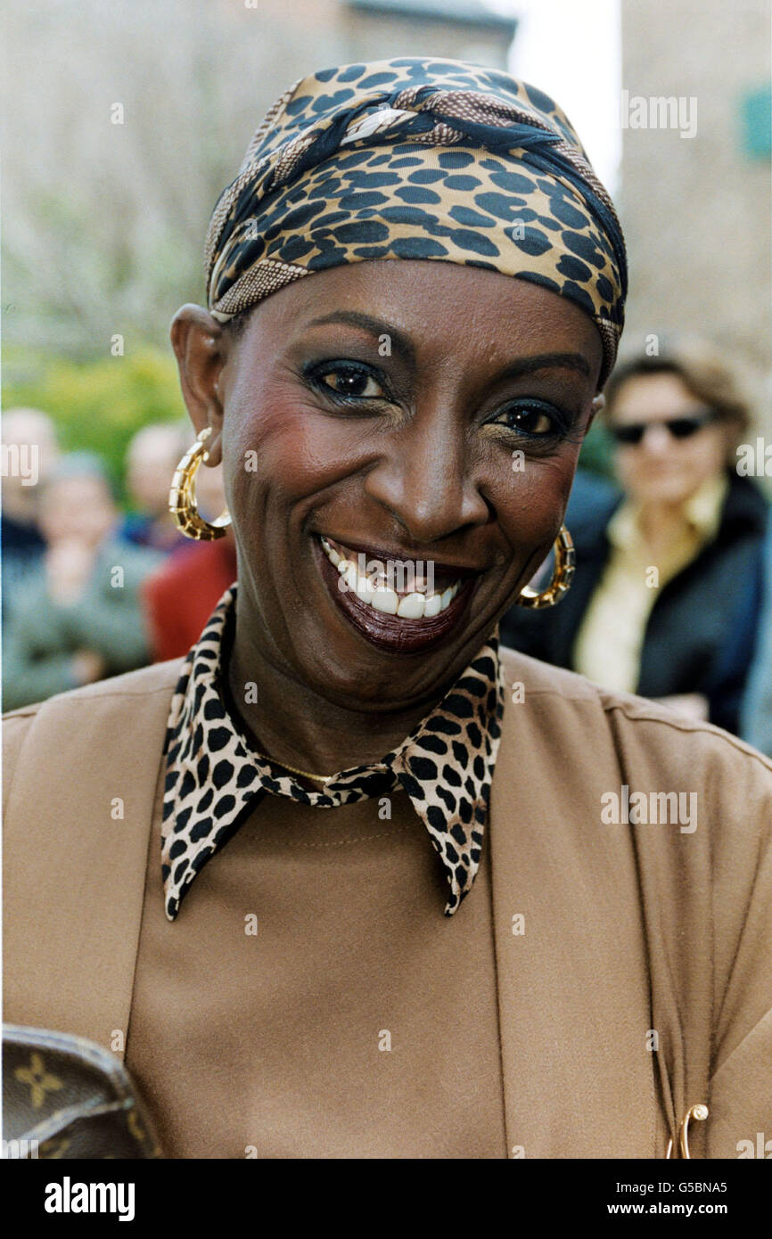 Springfield-Plakette Stockfoto