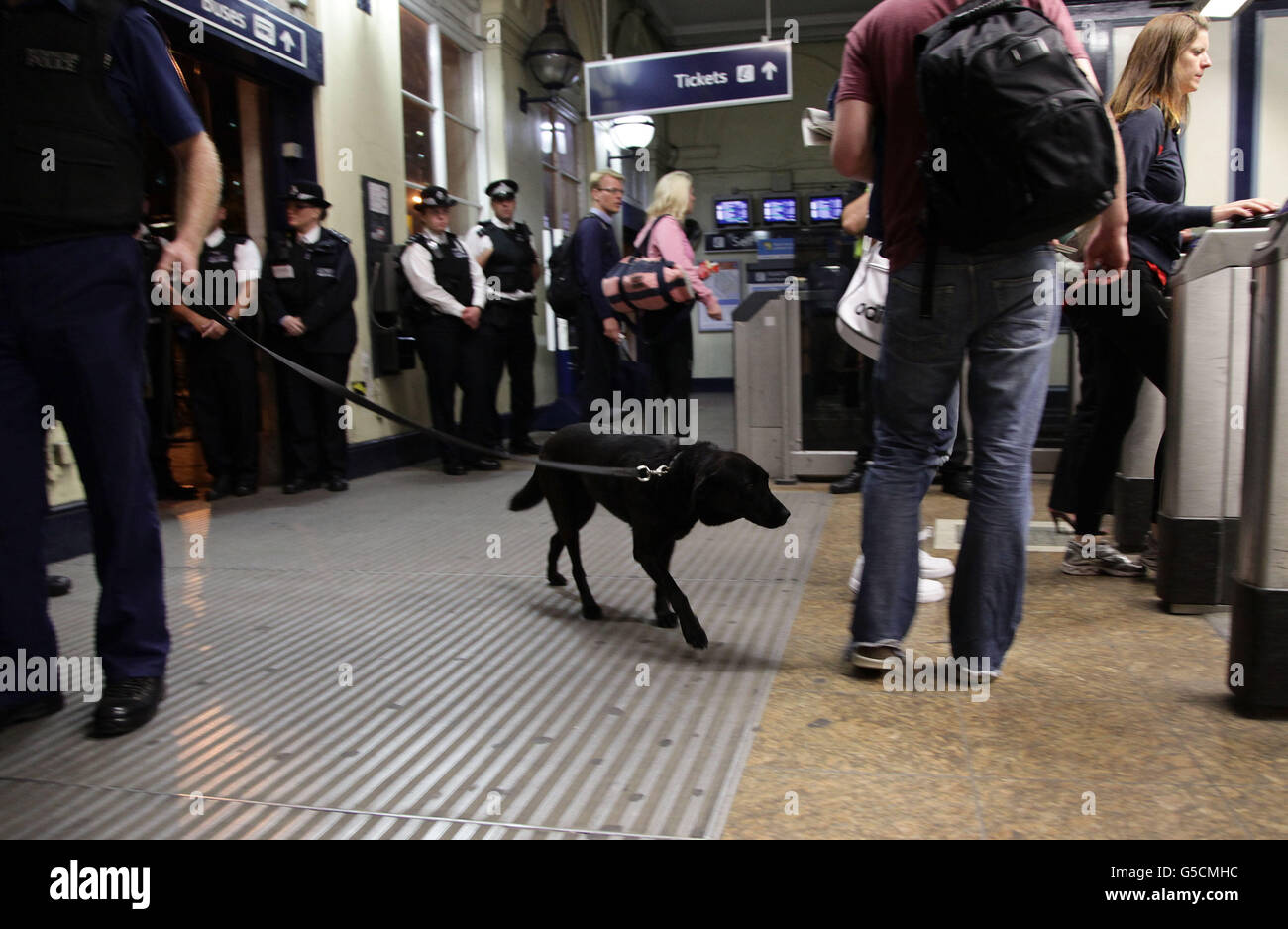 Ein Polizeibeamter mit einem schniffereren Hund am Bahnhof Vauxhall im Rahmen einer Operation, um Bandenmitglieder von Süd-London nach Norden oder Zentral-London zu stoppen. Stockfoto