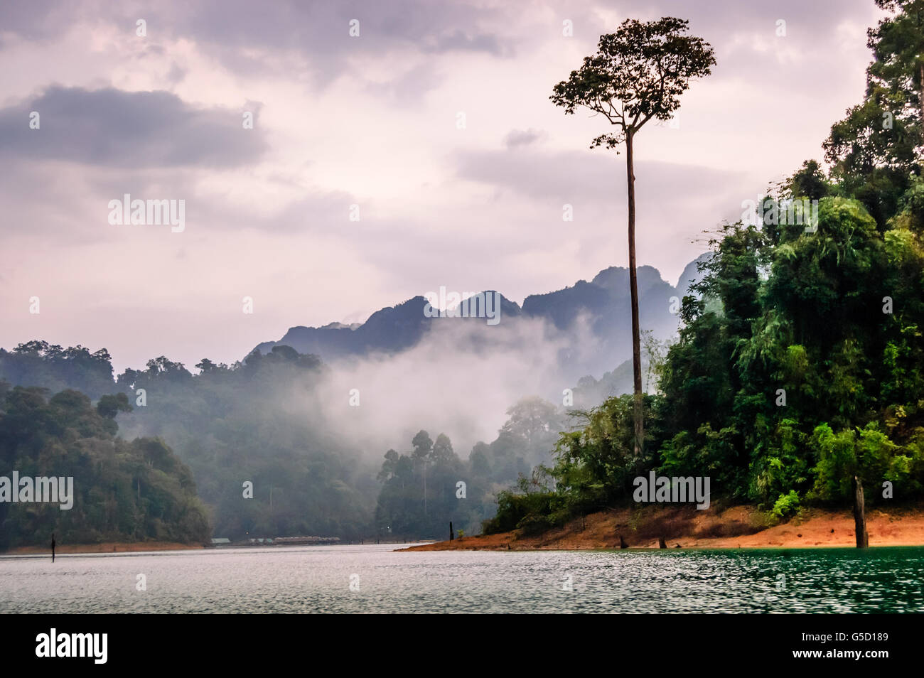 Misty Dämmerung über Cheow Lan Lake in Khao Sok National Park, Provinz Surat Thani, Thailand Stockfoto