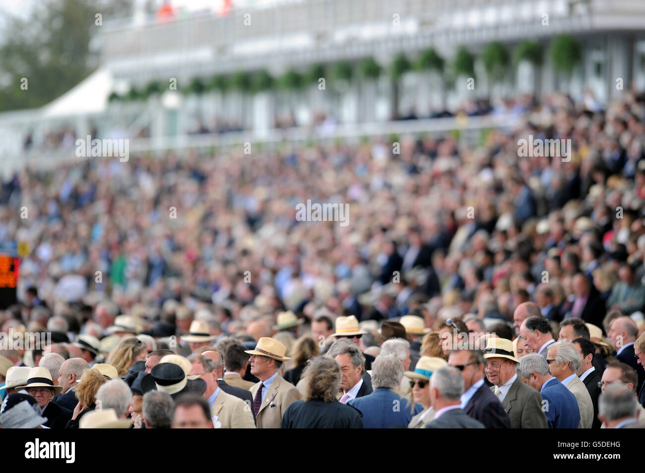 Horse Racing - Glorious Goodwood Festival 2012 - bet365 Lennox Stakes Tag - Goodwood Rennbahn Stockfoto