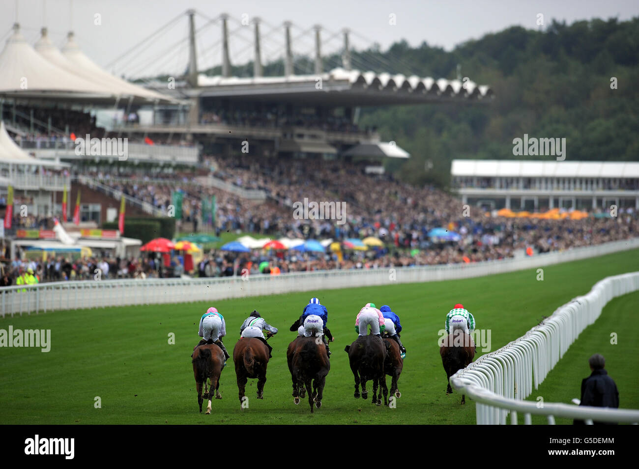 Horse Racing - Glorious Goodwood Festival 2012 - bet365 Lennox Stakes Tag - Goodwood Rennbahn Stockfoto