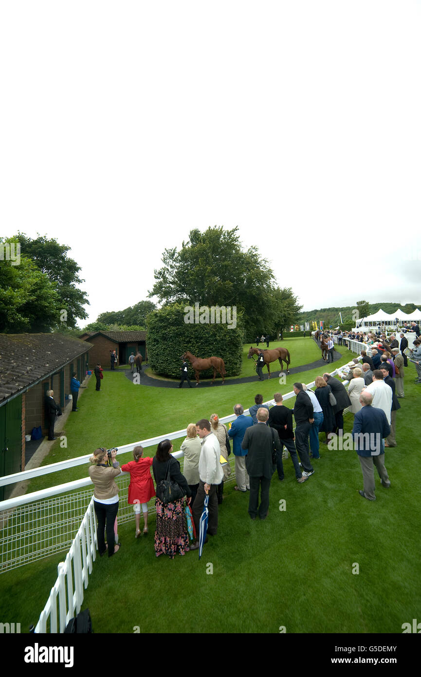 Horse Racing - Glorious Goodwood Festival 2012 - bet365 Lennox Stakes Tag - Goodwood Rennbahn Stockfoto