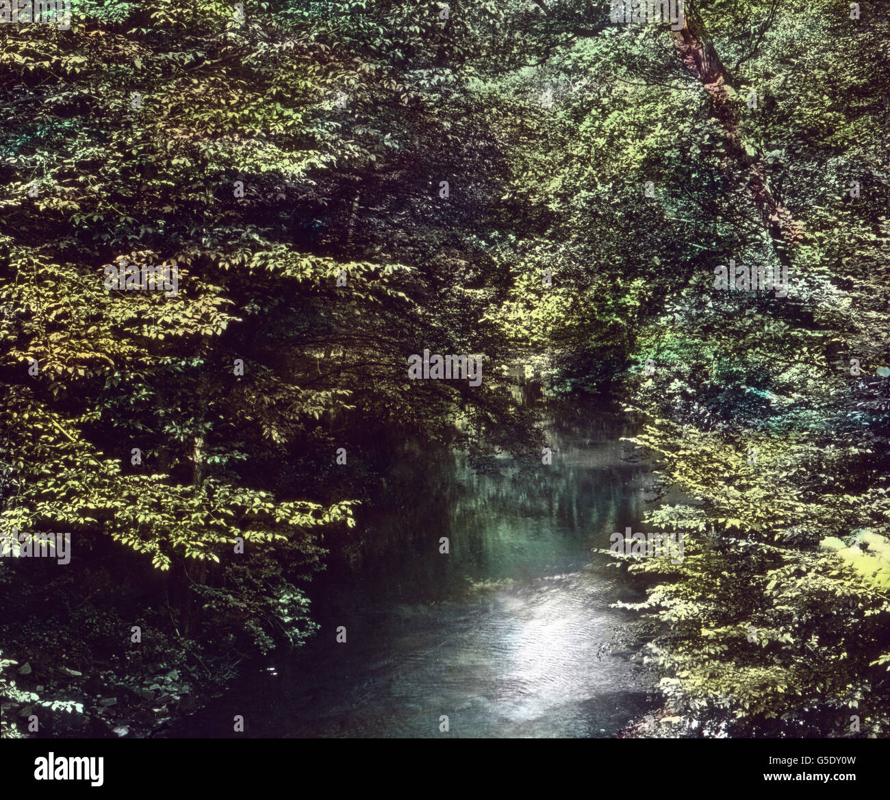 Das Stille Tal. Das ruhige Tal. Deutschland, Krieg, Weltkrieg, WWI, 1, Geschichte, historisch, 1910er Jahre, 20. Jahrhundert, archivieren, Carl Simon, Farbglas von hand schieben, Deutsch, Trauer, Wald, Holz, See, Ruhe, ruhig Stockfoto