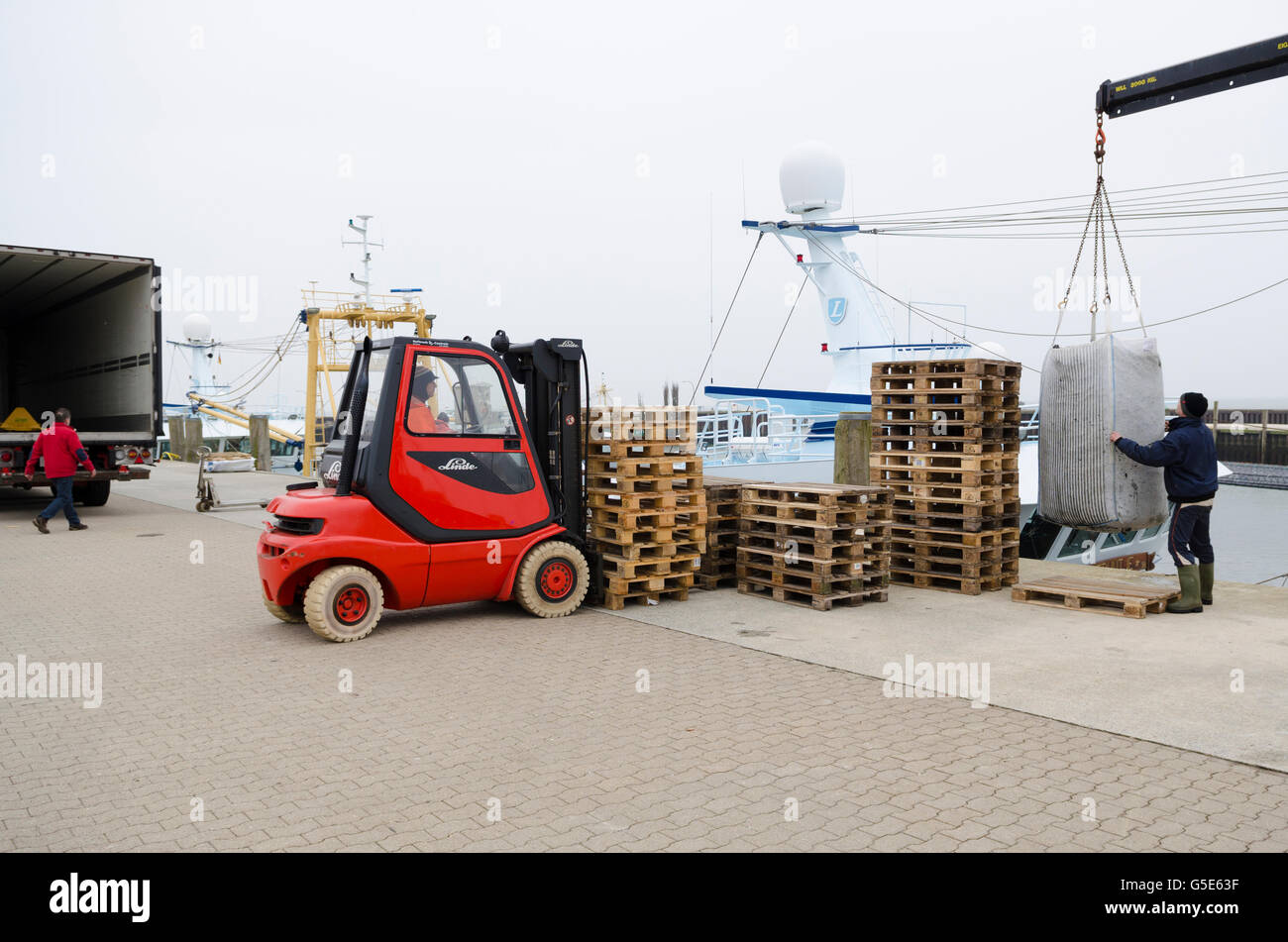 Muscheln sind geladen, auf einen LKW, Muschel-Fischerei auf der Insel Sylt, Hoernum, Schleswig-Holstein Stockfoto