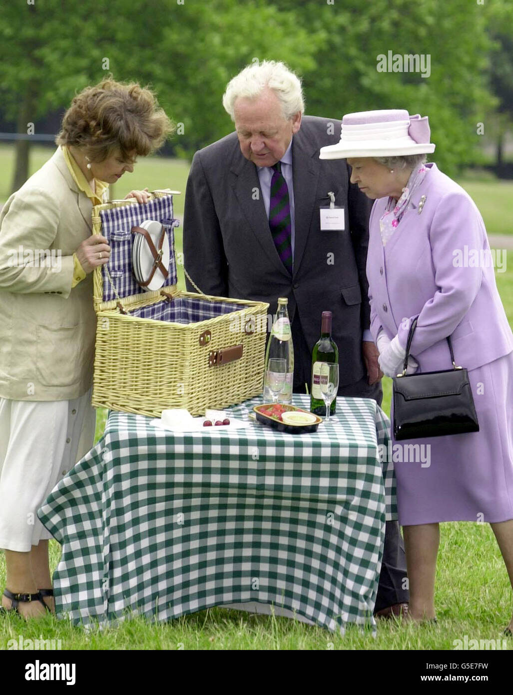 Ländliche Picknick Queen & Skalen Stockfoto