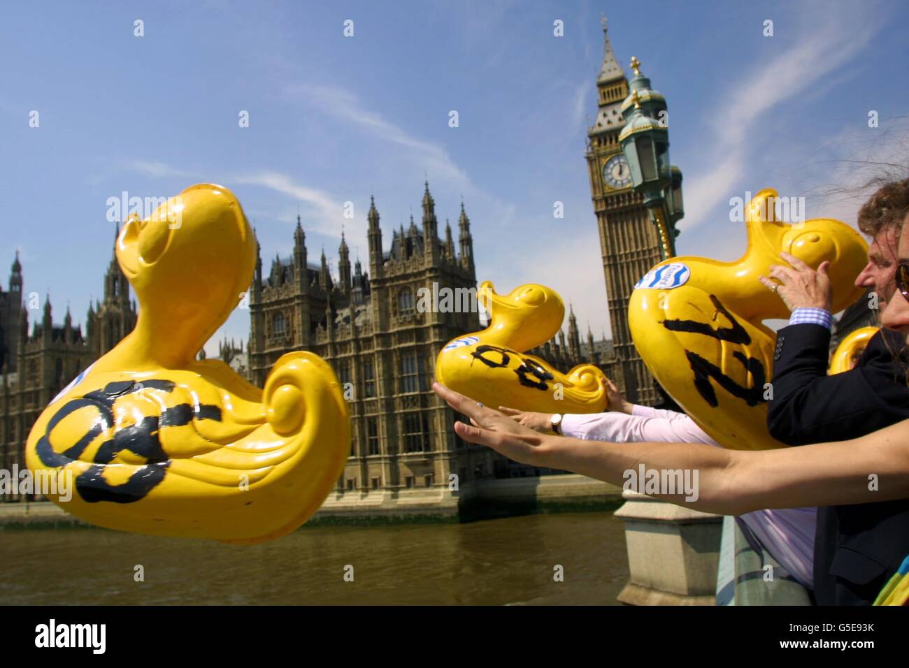 60 Abgeordnete und Mitglieder der Greater London Authority werfen 3 Meter hohe Plastikenten zu Beginn des parlamentarischen Duck Race auf der Themse in die Themse. *.das Rennen, für die Nächstenliebe, hat insgesamt Preisgeld von 3,500, mit 2,000 gehen an die erste Ente hinter der Gewinnlinie im Unterhaus. Stockfoto