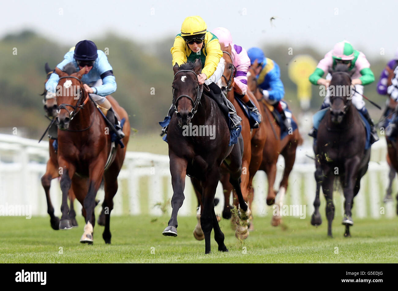 Vallarta geritten von Martin Harley (Mitte) auf dem Weg zum Sieg in der SThree plc Stakes E.B.F. Maiden bei Newbury Race Course, Freitag Werbemedien 21 2012. Bildnachweis sollte lauten: David Davies/PA Wire. NUR ZUR REDAKTIONELLEN VERWENDUNG Stockfoto