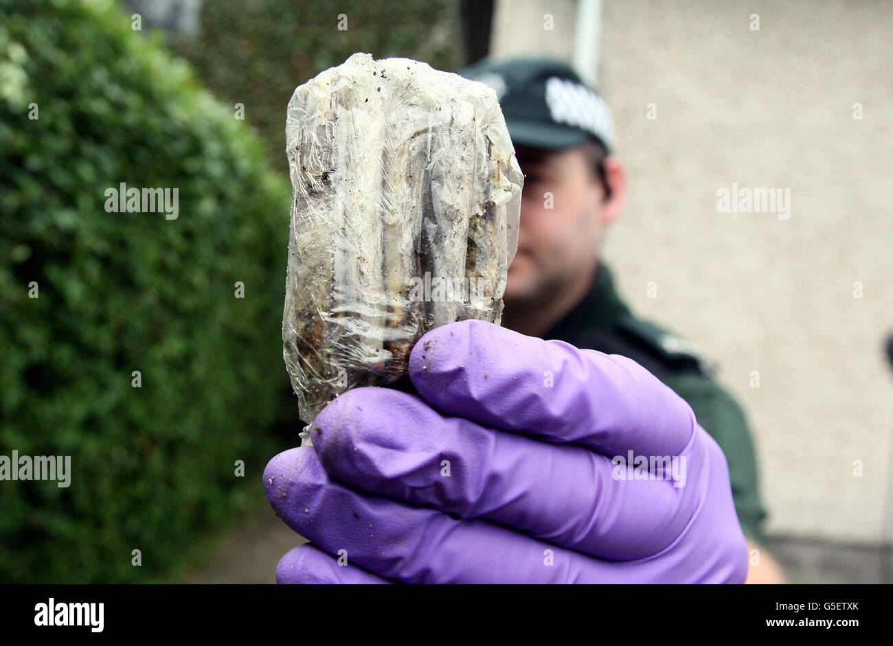 Ein Polizeibeamter zeigt Drogen, die während einer Reihe von Drogenrazzien in der Region Lurgan in Nordirland in einem Garten entdeckt wurden, da die Polizei seitdem Drogen im Wert von 287,781 beschlagnahmt und 198 Festnahmen bei einem großen Durchgreifen auf Straßenebene durchgeführt hat. Stockfoto