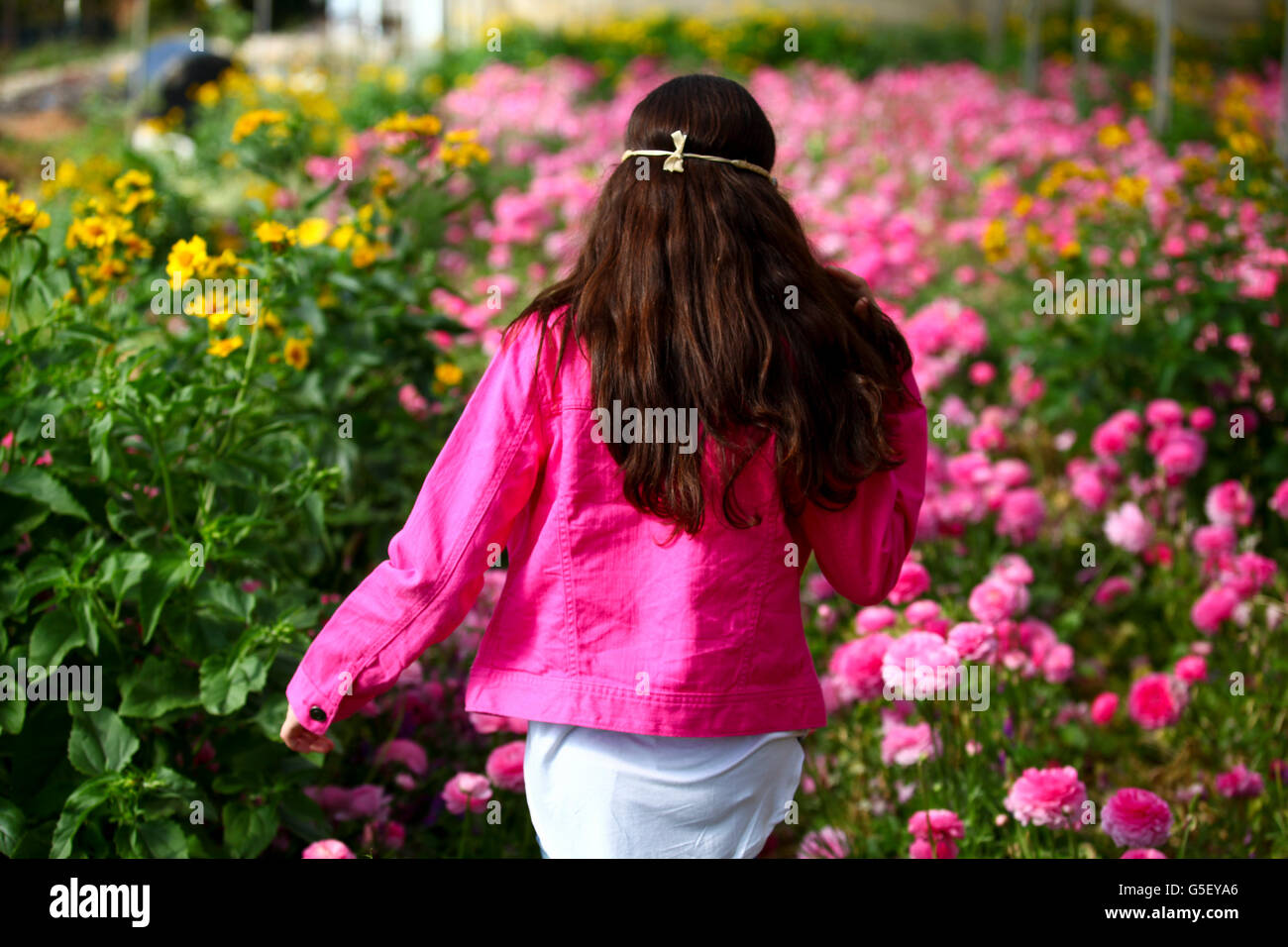 Preteen Mädchen 12 in einem Gewächshaus aus rosa Blüten Stockfoto