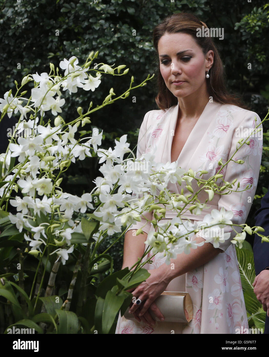 Die Herzogin von Cambridge blickt auf eine Orchidee, die nach Prinz Wilhelms Mutter Diana, Prinzessin von Wales, benannt wurde, während ihres ersten Engagements in Singapur, im Rahmen einer neuntägigen Tour durch den Fernen Osten und den Südpazifik zu Ehren des Diamantenjubiläums der Königin. Stockfoto