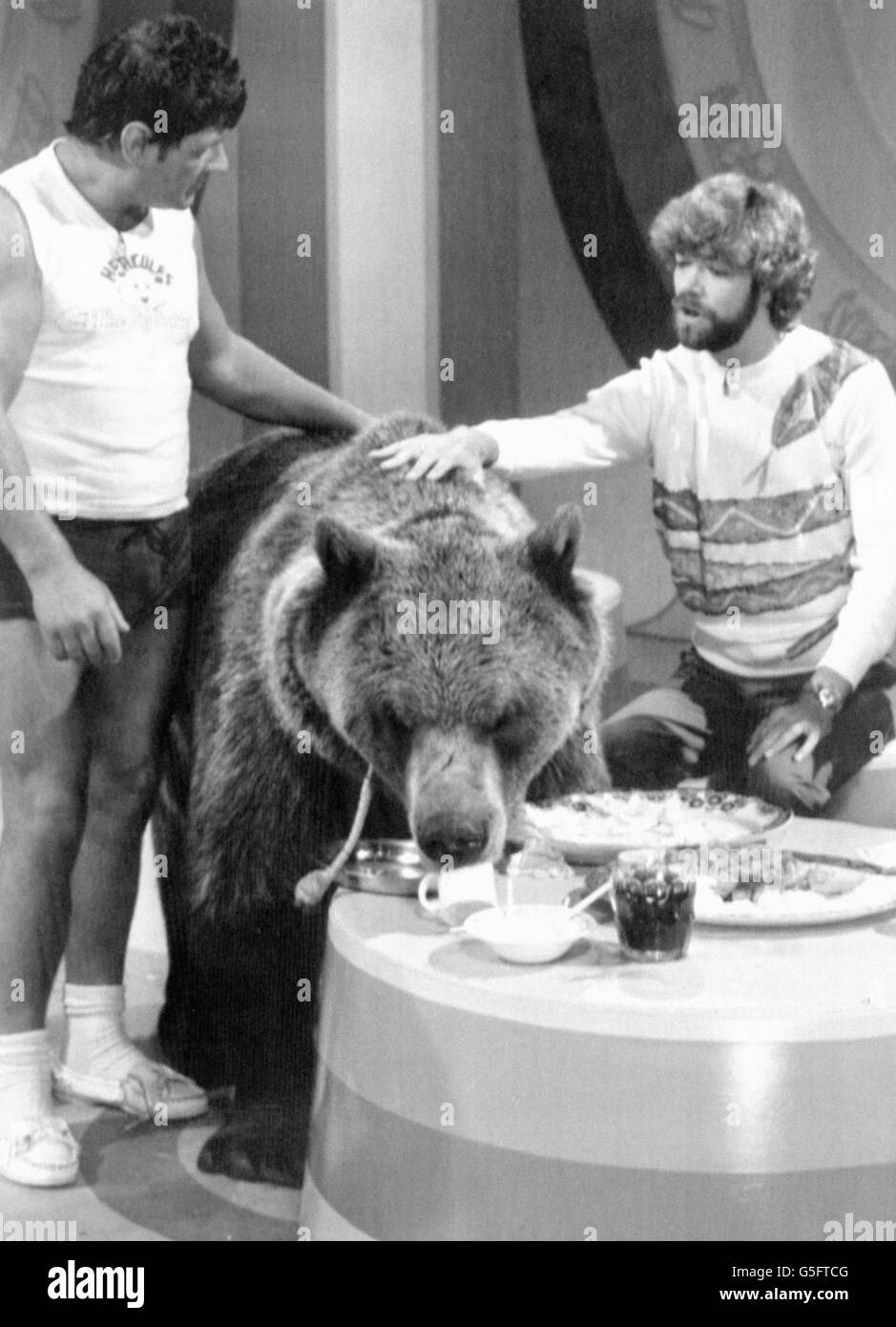 Matthaeus Kelly, rechts, und Besitzer Andy Robin sehen Hercules während der Dreharbeiten zur Kinderfernsehsendung in einen Snack stecken, kurz bevor der Grizzlybär Chaos verursachte, indem er sich weigerte, die Show zu verlassen. Stockfoto