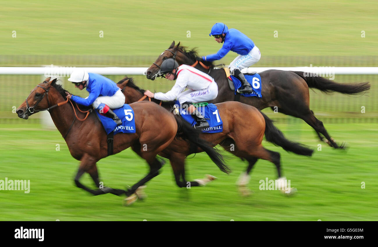 Horse Racing - Cambridgeshire-Festival - Tag zwei - Shadwell Tag - Newmarket Racecourse Stockfoto