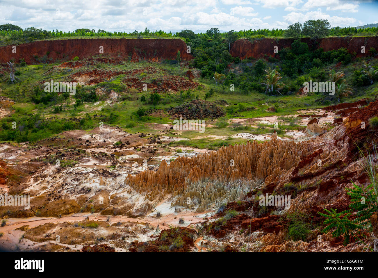 Roten Tsingy in Madagaskar, Afrika. Stein-Bildung von roten Laterit, gebildet von der Erosion des Flusses Irodo im Norden von Madagaskar. Stockfoto