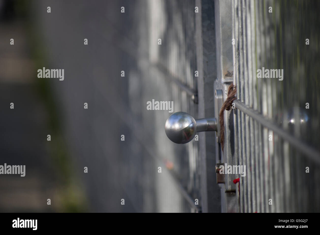 Sicherheit Türklinke auf einem Stahl Metallzaun im Fokus mit allem Drumherum verschwommen. Stockfoto