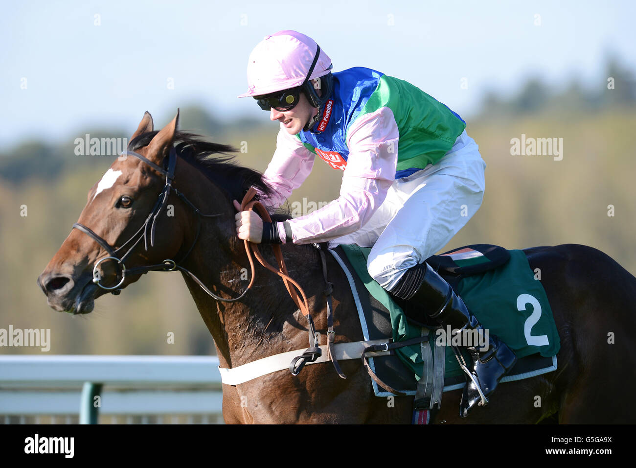 Pferderennen - Towcester Races. Jockey Jeremiah McGrath über die Belästigung während der Hürde der „National Hunt“-Novizen der Vollblut Breeders Association Mares Stockfoto