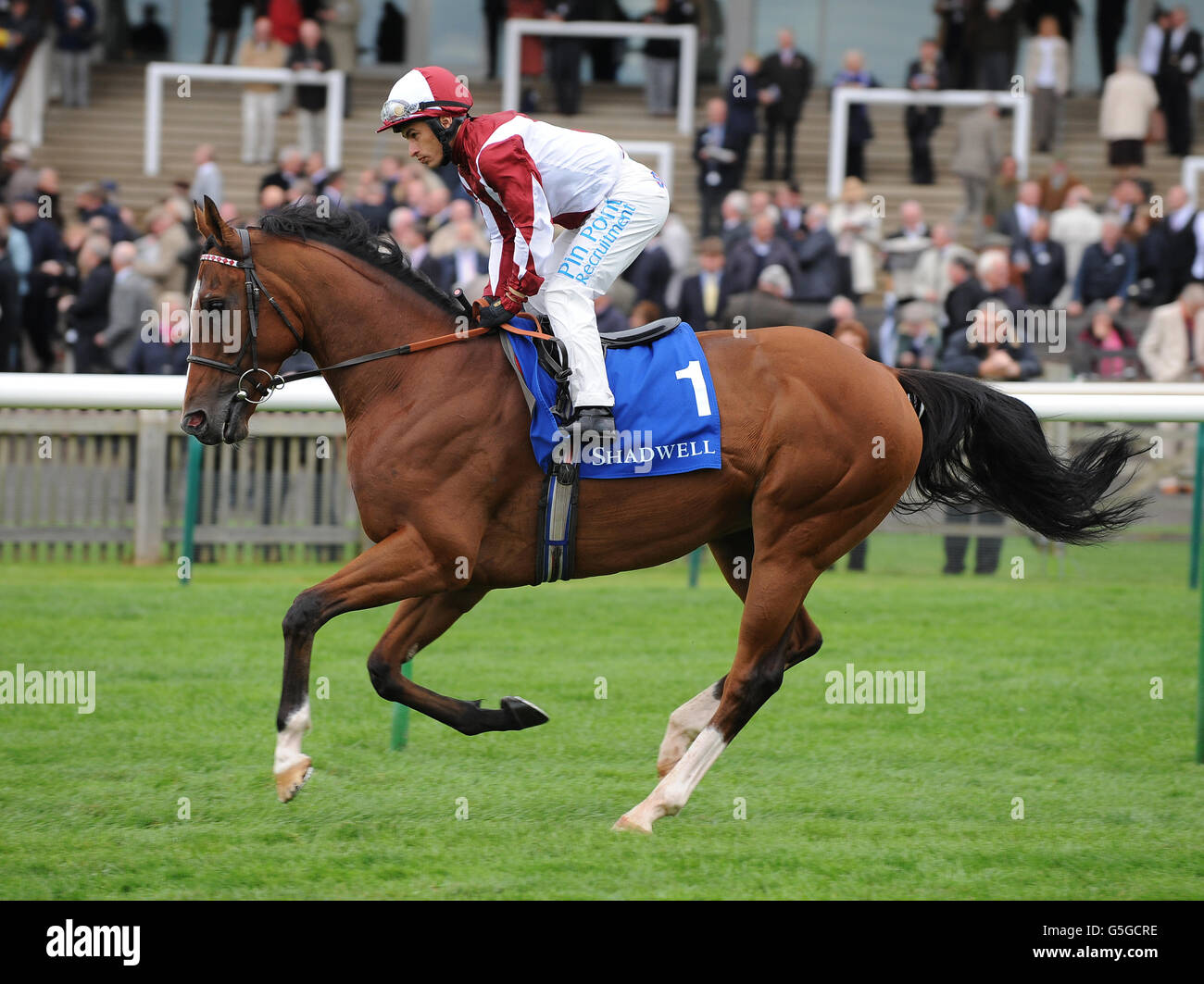 Pferderennen - The Cambridgeshire Meeting - Shadwell Day - Newmarket Racecourse. Fanunalter mit Silvestre De Sousa im Nayef Joel Stakes (British Champions Series) (Gruppe 2) Stockfoto