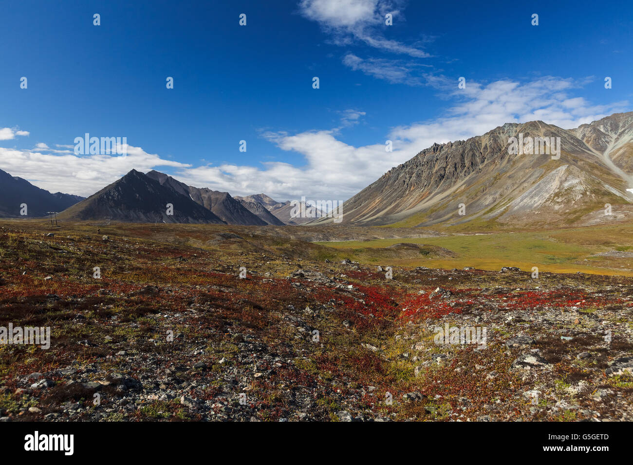 Bunter Herbst Tundra und Fluss in Chukotka, Russland Stockfoto