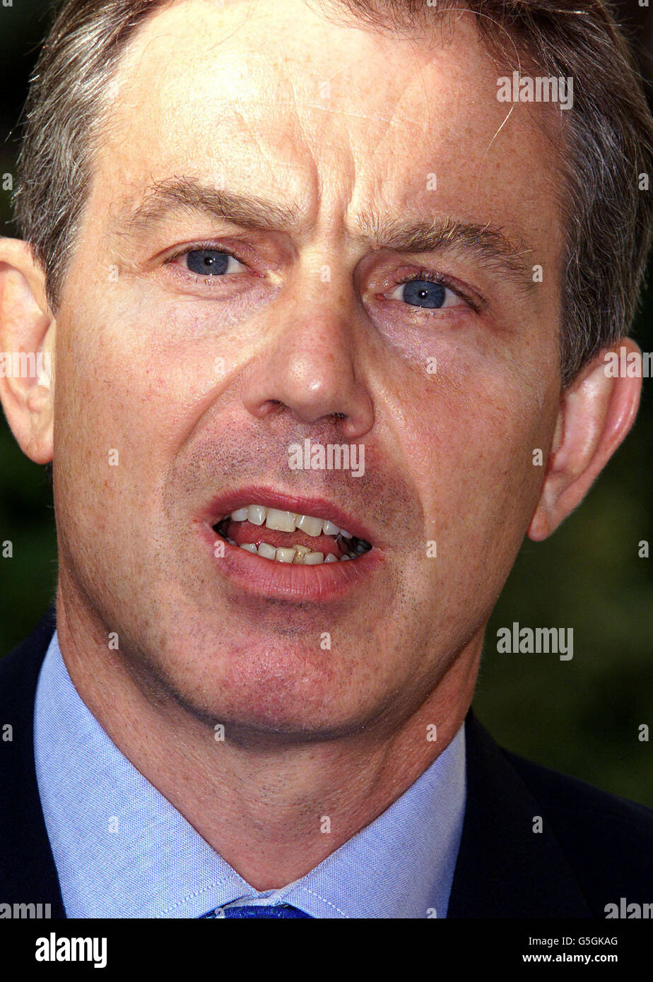 Der britische Premierminister Tony Blair sprach im Garten seines offiziellen Wohnsitzes in der Londoner Downing Street mit Reportern, als er die Taliban-Herrscher Afghanistans davor warnte, dass sie die Feinde Großbritanniens werden würden. ... und ihre Verbündeten im Krieg gegen den Terrorismus, es sei denn, sie übergaben Osama bin Laden. Er gab auch seinen bisher klarsten Hinweis, dass das Taliban-Regime als Folge von Militärschlägen als Reaktion auf die US-Terroranschläge gestürzt werden könnte. Stockfoto