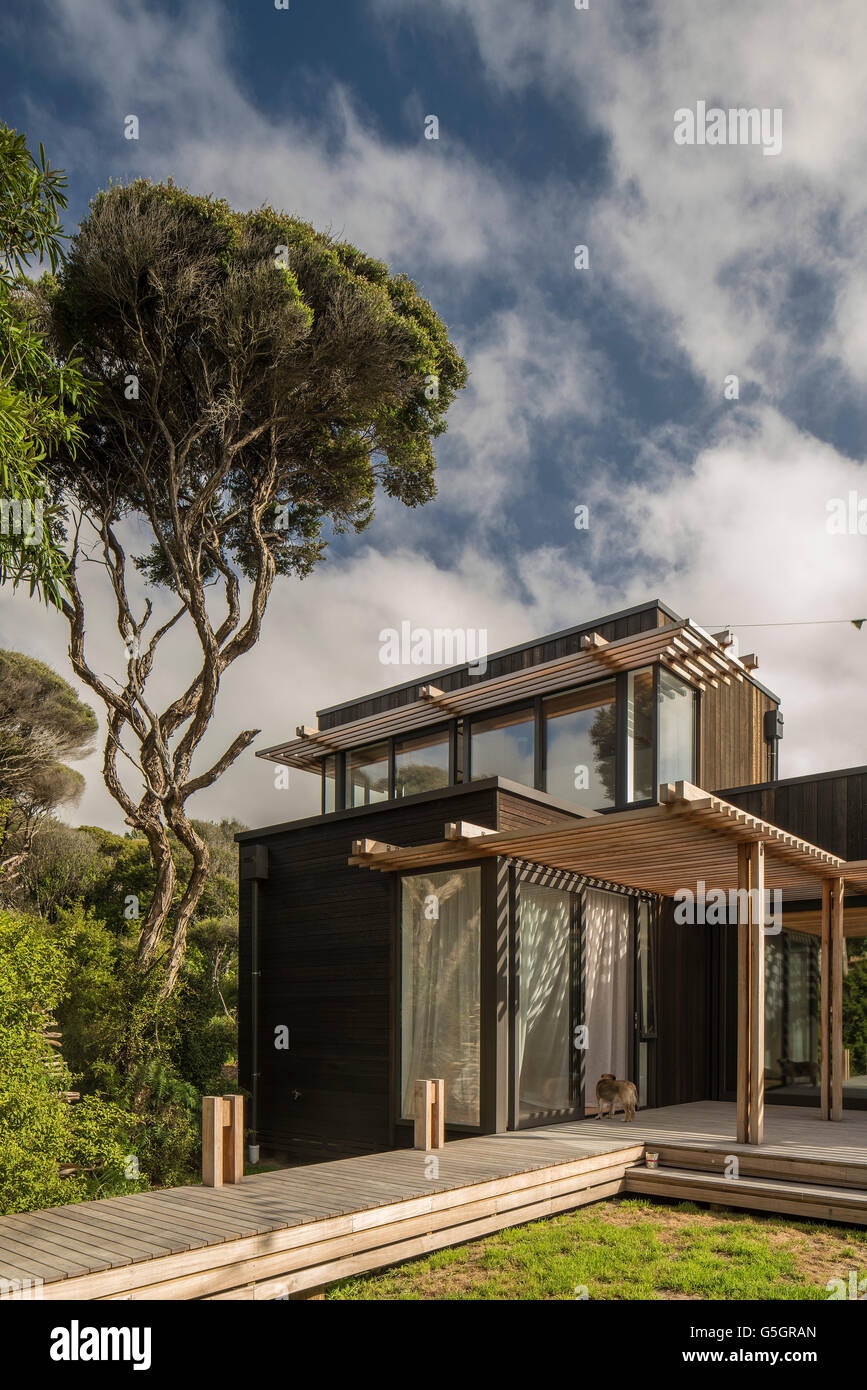 Außerhalb Holzhaus mit einem Manuka Baum set Weg, Terrasse und Garten vor einem blauen Himmel. PEKA PEKA II Haus, Peka Peka - Kapiti Coast, Neuseeland. Architekt: HMA, 2016. Stockfoto