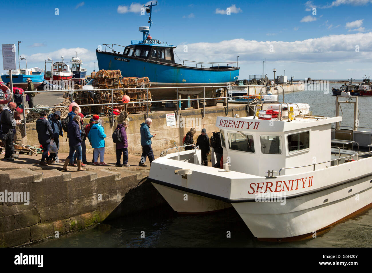 UK, England Northumberland, gemeinsame Harbour, Beitritt, Gelassenheit, Farne Islands Boot Reise Schiff Passagiere Stockfoto