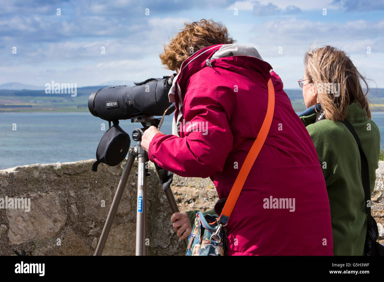 Großbritannien, England Northumberland, Holy Island, Lindisfarne Castle, Besucher beobachten Dichtungen durch Teleskop vom Dach Stockfoto