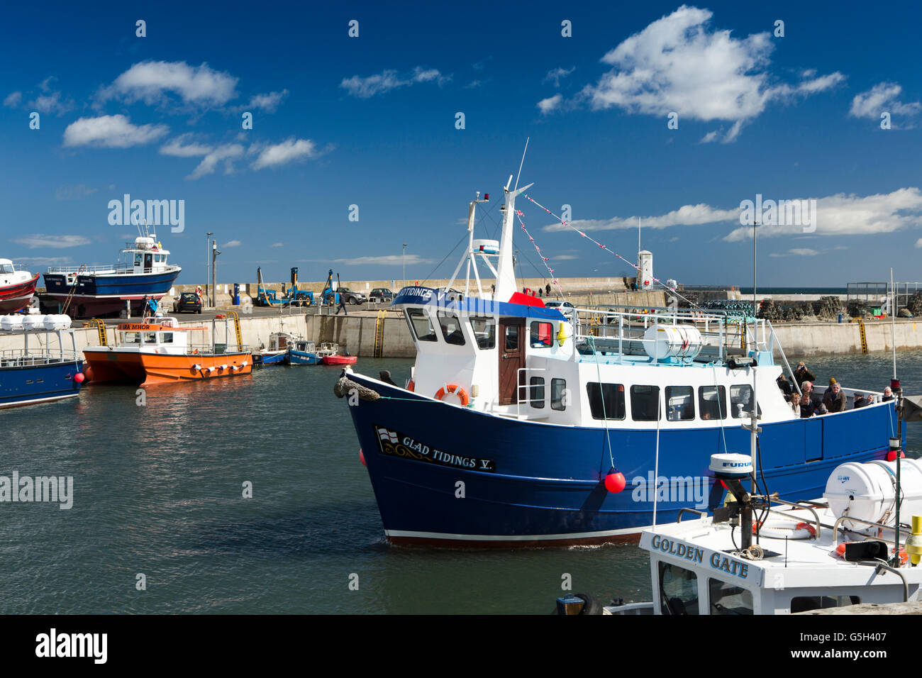 Großbritannien, England Northumberland, gemeinsame Harbour, froh Tridings V Farne Islands Boot Reise Schiff zurückkehren Stockfoto