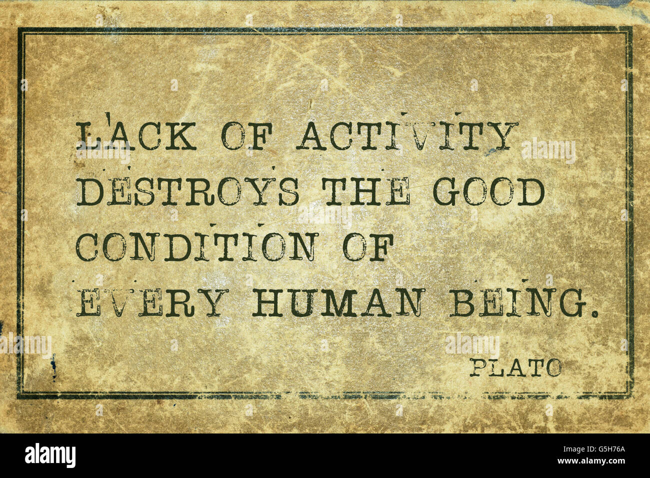 Mangel an Aktivität zerstört das gute - der griechische Philosoph Plato Zitat auf Grunge Vintage Karton gedruckt Stockfoto