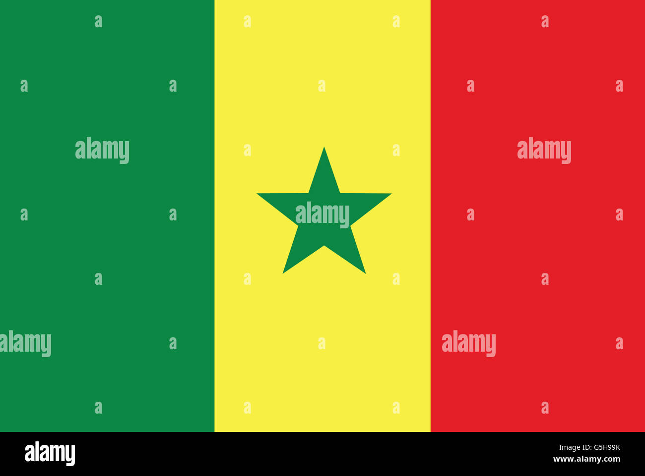 Nationalflagge von Senegal. Stockfoto